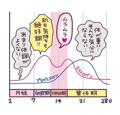 女性の性欲が高まりエロい状態は生理前！ホルモン×性欲